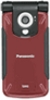 Panasonic SA6